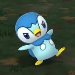 ポケモンカードで一緒に遊びたいです！