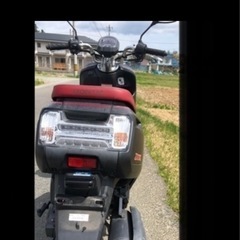 【50ccスクーター】　HONDA　ダンクの画像