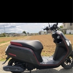 【50ccスクーター】　HONDA　ダンクの画像