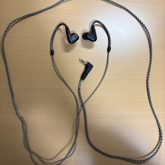 イヤホンSennheiser IE 200の画像