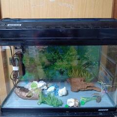 【セール中】水槽セットの画像
