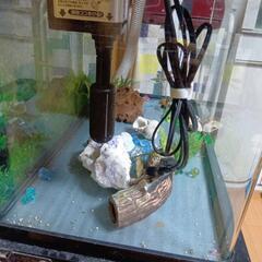 【セール中】水槽セットの画像
