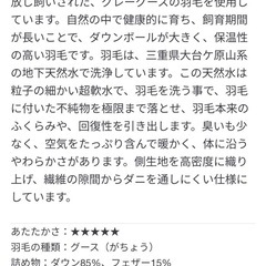 羽毛布団 無印良品 シングル 二層式 日本製の画像