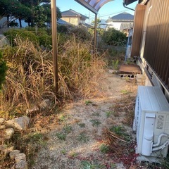 今からの時期に草むしりやりませんか！