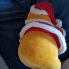 ぬいぐるみの画像
