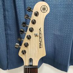 pacifica 120h カスタム品の画像