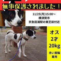 11月25日逸走【テク】を探しています