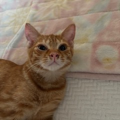 とにかく可愛い‼️