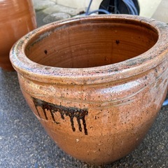 ヒビの入った睡蓮鉢
の画像