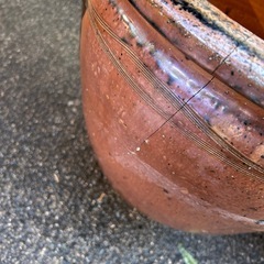 ヒビの入った睡蓮鉢
の画像