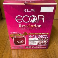 GSユアサ 車用バッテリー ER-M-42/55B20L