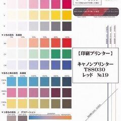 キャノンプリンター TS8030 レッド №19　【使用履歴少・美品】の画像