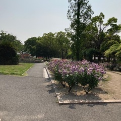 ウォーキング仲間募集します🚶‍♀️🚶‍♀️🚶‍♀️ − 広島県