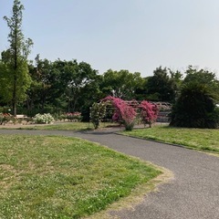 ウォーキング仲間募集します🚶‍♀️🚶‍♀️🚶‍♀️ - メンバー募集