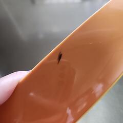 アンパンマン ランチプレートの画像
