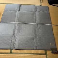 使用2.3回ホットカーペット