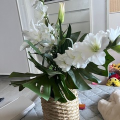 造花　インテリア