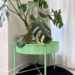 IKEAプラントスタンド(KULTURSKOG クルトゥールスコーグ)