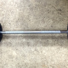 バーベル 30kg【11003539】