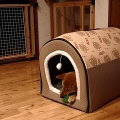 (値下げしました)新品未使用　犬猫　ペットベッド ペットハウスXXL　　XXLはネットで新品6500円ほどします。の画像