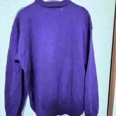 アイスバーグ　サイズ約L∼XLの画像