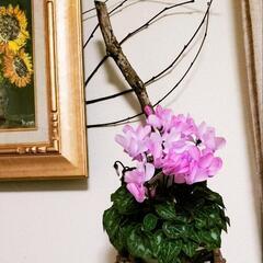 【Handmade】ツルで編んだ杓型のカゴ飾りの画像