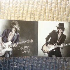 CD　エアロスミスのギタリスト、ジョーペリーの「SWEETZERLAND　MANIFESTO」です♪♪の画像