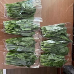 ほうれん草の画像