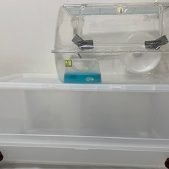 値下げ‼️ハムスターケージ🐹リメイク版の画像