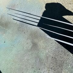 熊　イノシシ　猪から命を守る杖の画像