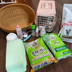 猫ちゃんセット