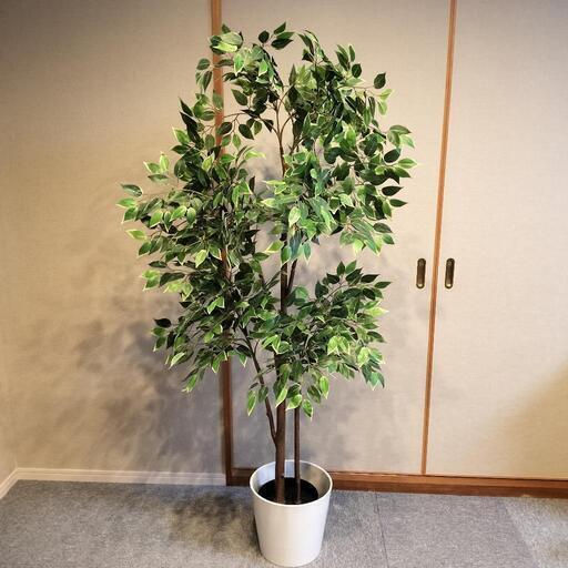 イケア人工観葉植物＆鉢カバー2点セット