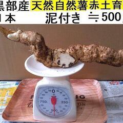 すぐにお渡しできます ♪黒部産・超粘り！赤土粘土の典型的天然自然...