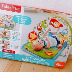 【フィッシャープライス】レインフォレスト 指遊びミュージカルジム...
