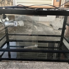 爬虫類ケージ 爬虫類用品の画像