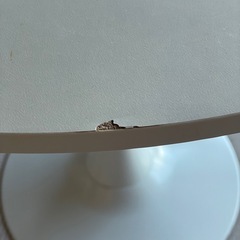 【早い者勝ち】丸テーブルの画像