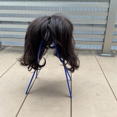 ウイッグ