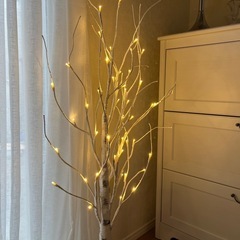 シラカバツリーの画像