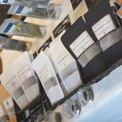 空き家EVENT【オリジナルブレンドのハーブティーづくり🌿】 - 日野市