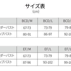 【新品】定価24,200円　ボディーアーキナイトブラの画像