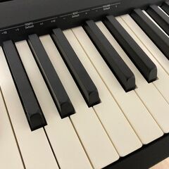 Roland FP-10-BK + ケース + スタンド 2019年購入の画像