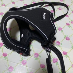 猫ちゃん用リード 新古品 美品 預かり出品 サイズMの画像