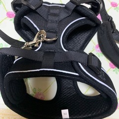 猫ちゃん用リード 新古品 美品 預かり出品 サイズM
