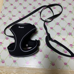 猫ちゃん用リード 新古品 美品 預かり出品 サイズMの画像