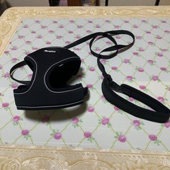 猫ちゃん用リード 新古品 美品 預かり出品 サイズMの画像