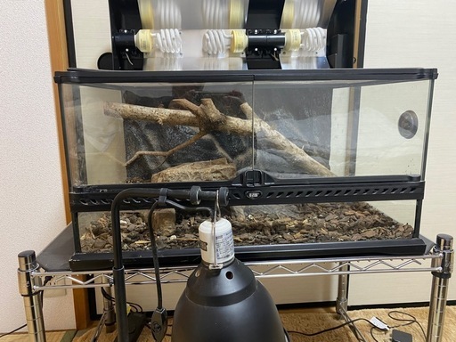 爬虫類飼育　エキゾテラDIY