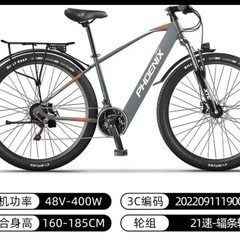 【最新モデル】26/29インチ 6-30AH電池モータ48V40...