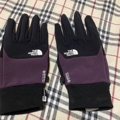 THE  North face