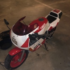 YSR80

