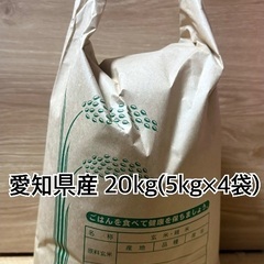 愛知県産 30kg(5kg×6袋) 白米 精米 